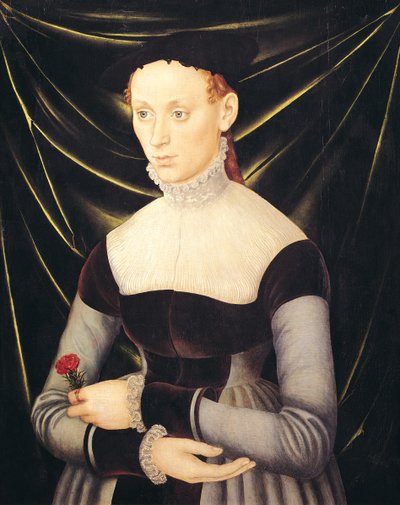 Mulher, com, um, cravo de Lucas Cranach the Elder